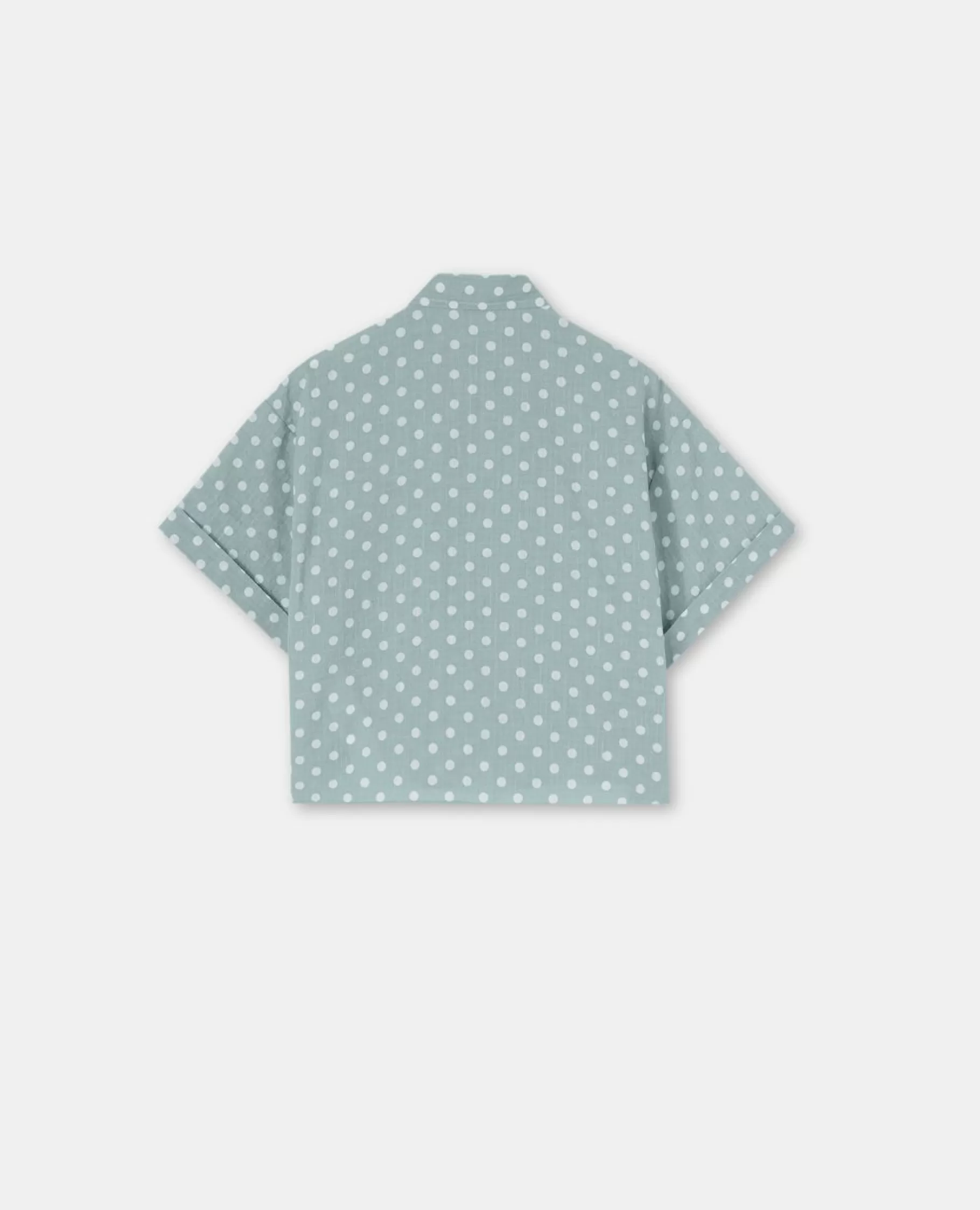ASPESI Camicie E T-Shirt^Camicia Stampa Polka Dots Lichene